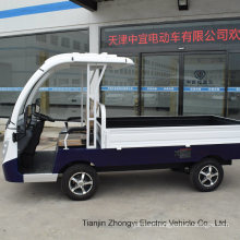 Custom Made Electric Pick up Cargo Truck
